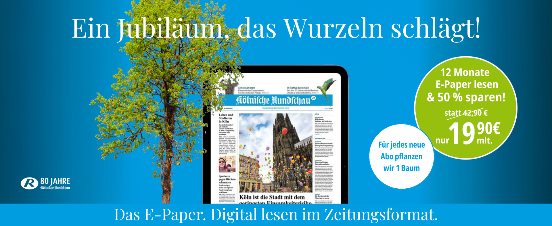 Zum Jubiläum: 50 % sparen & Bäume pflanzen  